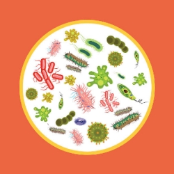 DETOXIC funziona
