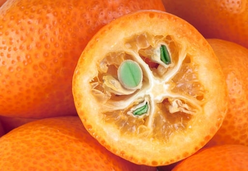 Kumquat - Informazioni e benefici